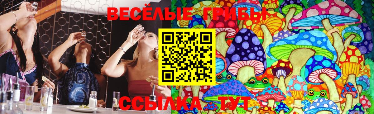 купить   Галлюциногенные грибы Psilocybine cubensis  Вход с VPN  Нягань 